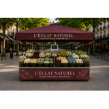 Pack Stand Fleurs